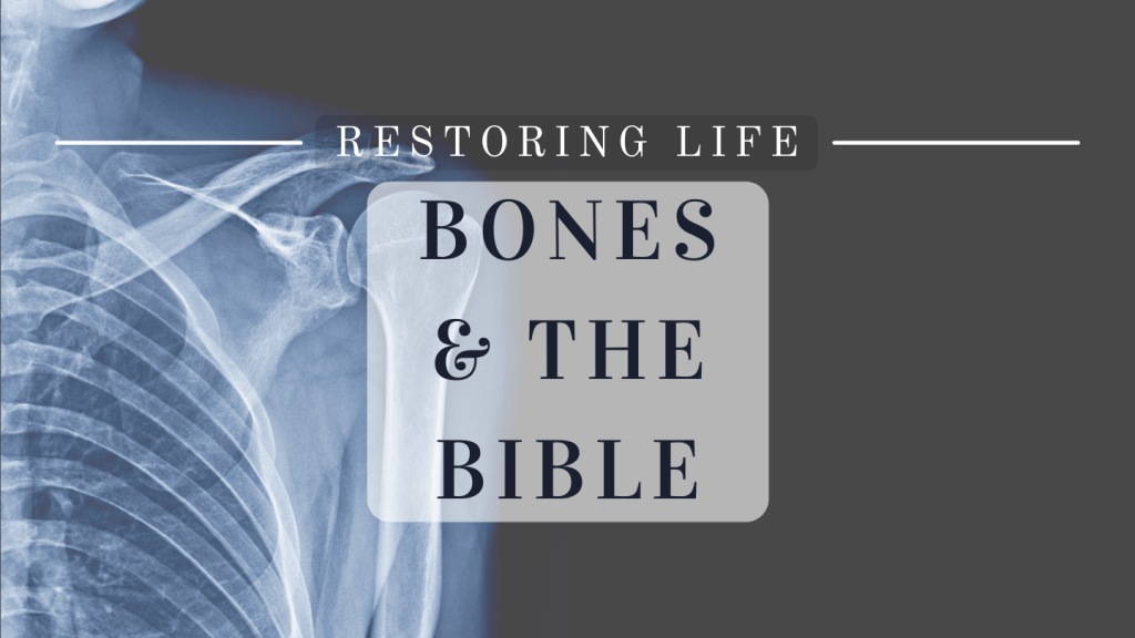 Restoring Life: Bones and the Bible Reading Plan